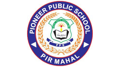 Pioneer School System